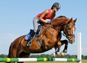 开云在线直播-南非运动员在赛马项目中斩获胜利