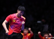 开云体育下载-韩国队逆转奥地利队，梁靖崑点燃赛场的简单介绍