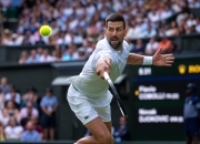 开云在线直播-拉沃尔杯横扫年终总决赛，德约科维奇关键制胜的简单介绍