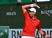 开云体育平台APP-包含德国网球队横扫英国网球队，瓦林卡制霸全场的词条