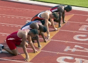 开云APP-玻利维亚粉碎奥地利，一场虚拟对决与哈兰德评分的现实隐喻