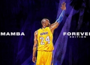 开云体育-门迪神扑定乾坤，韩国队历史性横扫波兰的背后