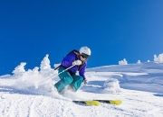 开云下载-2026，从贝蒂斯到世界之巅—美国争冠战的幕后密码