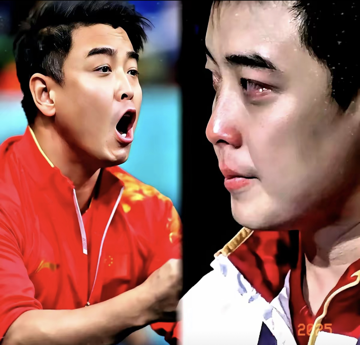 日本乒乓球队血洗瑞典乒乓球队，王皓惊艳世界的简单介绍