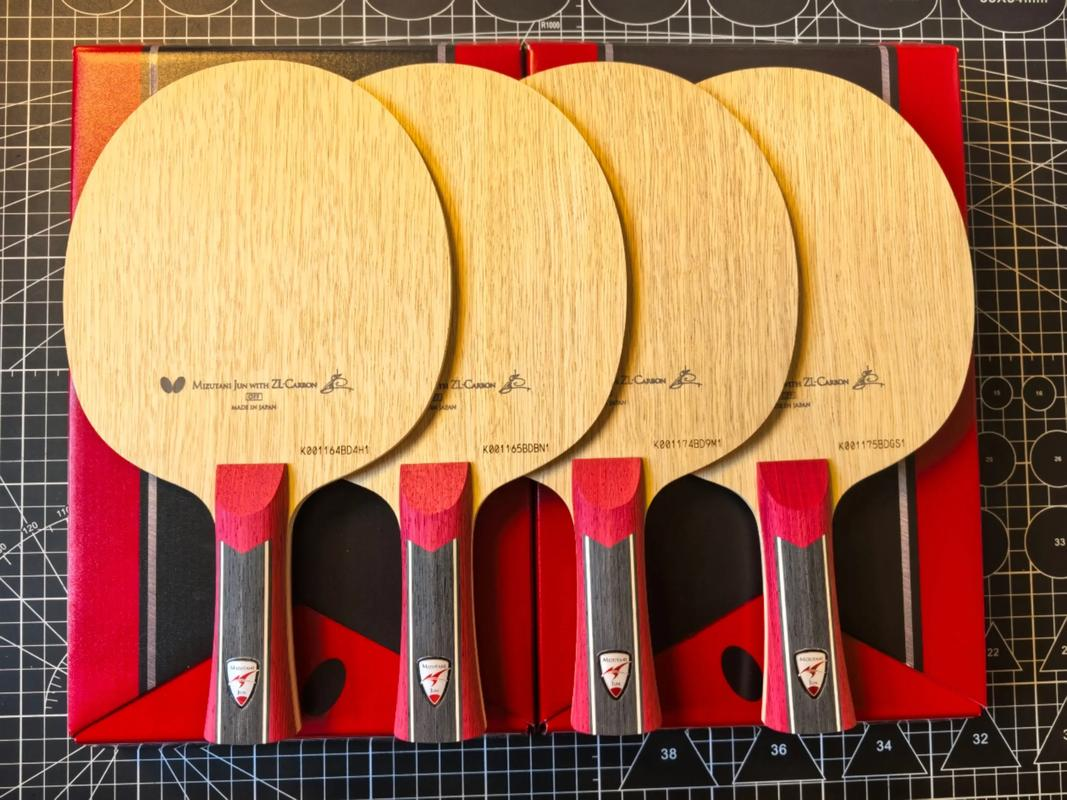 德国乒乓球队鏖战日本乒乓球队,水谷隼高光表现的简单介绍 德国乒乓球队鏖战日本乒乓球队,水谷隼高光表现的简单介绍