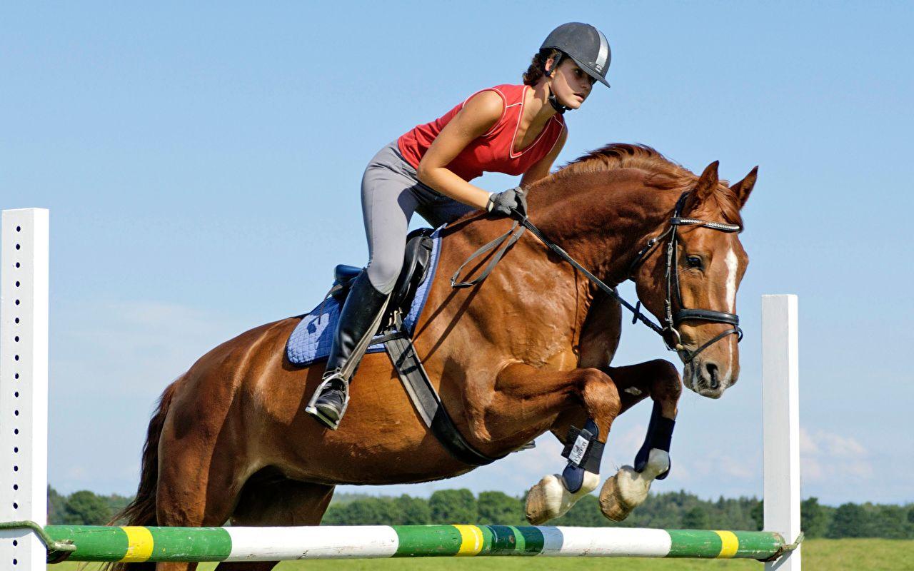 南非运动员在赛马项目中斩获胜利 南非运动员在赛马项目中斩获胜利