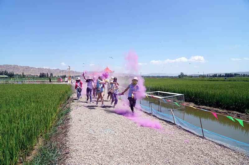 甘肃不甘示弱,四川连挫多场 甘肃不甘示弱,四川连挫多场